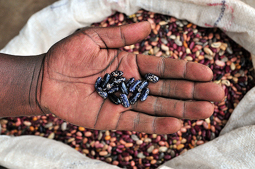 Bean market in Kampala, Uganda. Credit: Neil Palmer (CIAT/Flickr). 